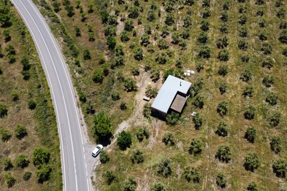 Finca d'oliveres amb magatzem, carretera de Cervià — foto 5
