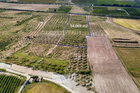 Finca de regadiu amb oliveres, a 2 km del poble — Les Borges Blanques