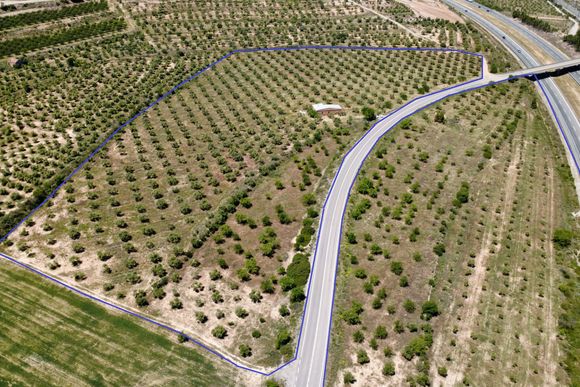 Finca d'oliveres amb magatzem, carretera de Cervià — foto 3