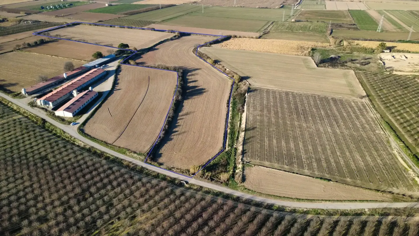Finca de regadiu plana entre Juneda i Castelldans — foto 1