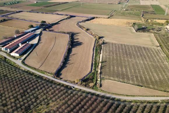 Finca de regadiu plana entre Juneda i Castelldans — Juneda