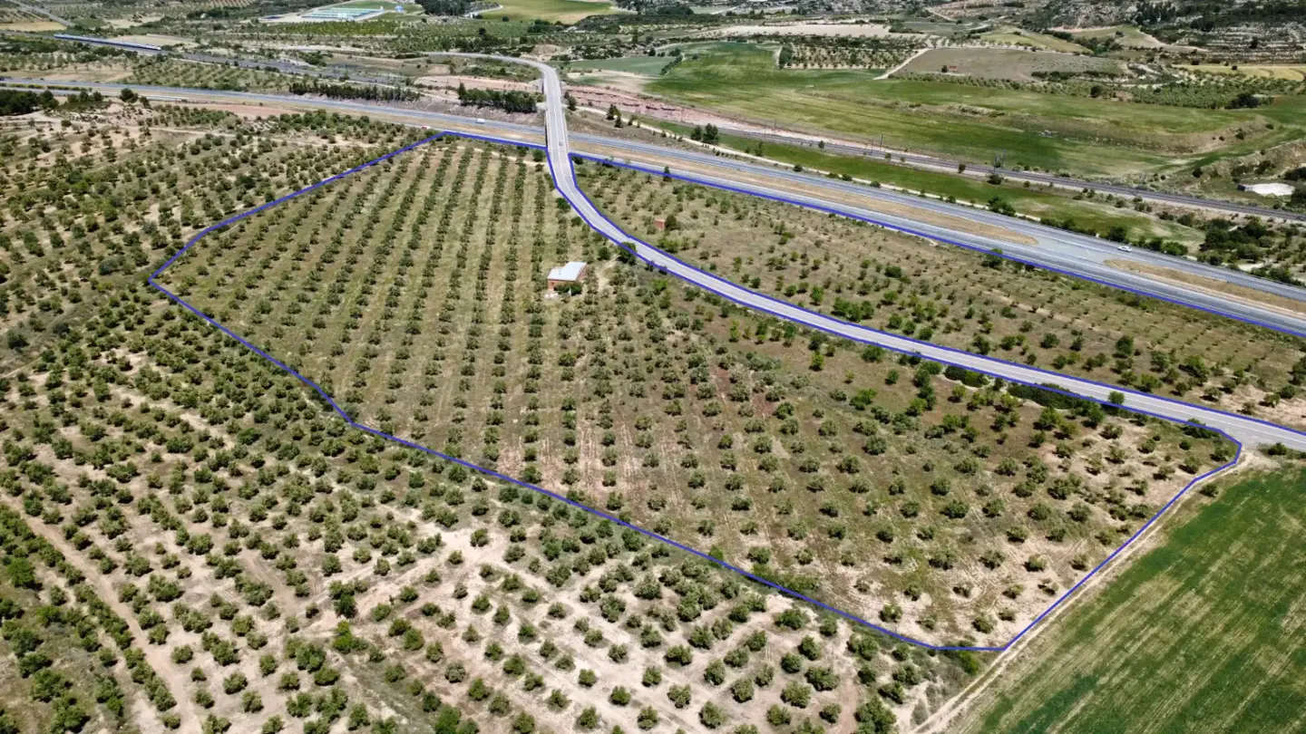Finca d'oliveres amb magatzem, carretera de Cervià — foto 1