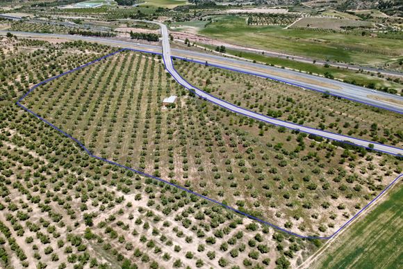 Finca d'oliveres amb magatzem, carretera de Cervià — Les Borges Blanques