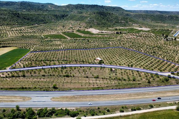 Finca d'oliveres amb magatzem, carretera de Cervià — foto 4
