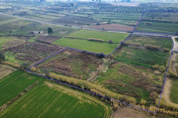 Finca de regadiu de 6,2 hectàrees — foto 3