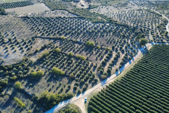 Finques rústiques a Les Garrigues