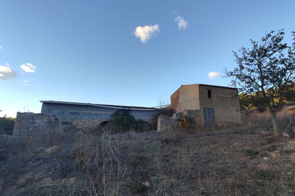 Finca de 34 hectàrees amb oliveres i torre — foto 4