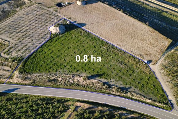Peça de terra de regadiu de 0,8 ha — Arbeca