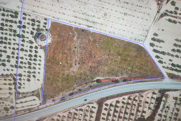 Peça de terra de regadiu de 0,8 ha — foto 5