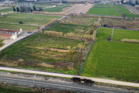 Finca de regadiu de 6,2 hectàrees — foto 4